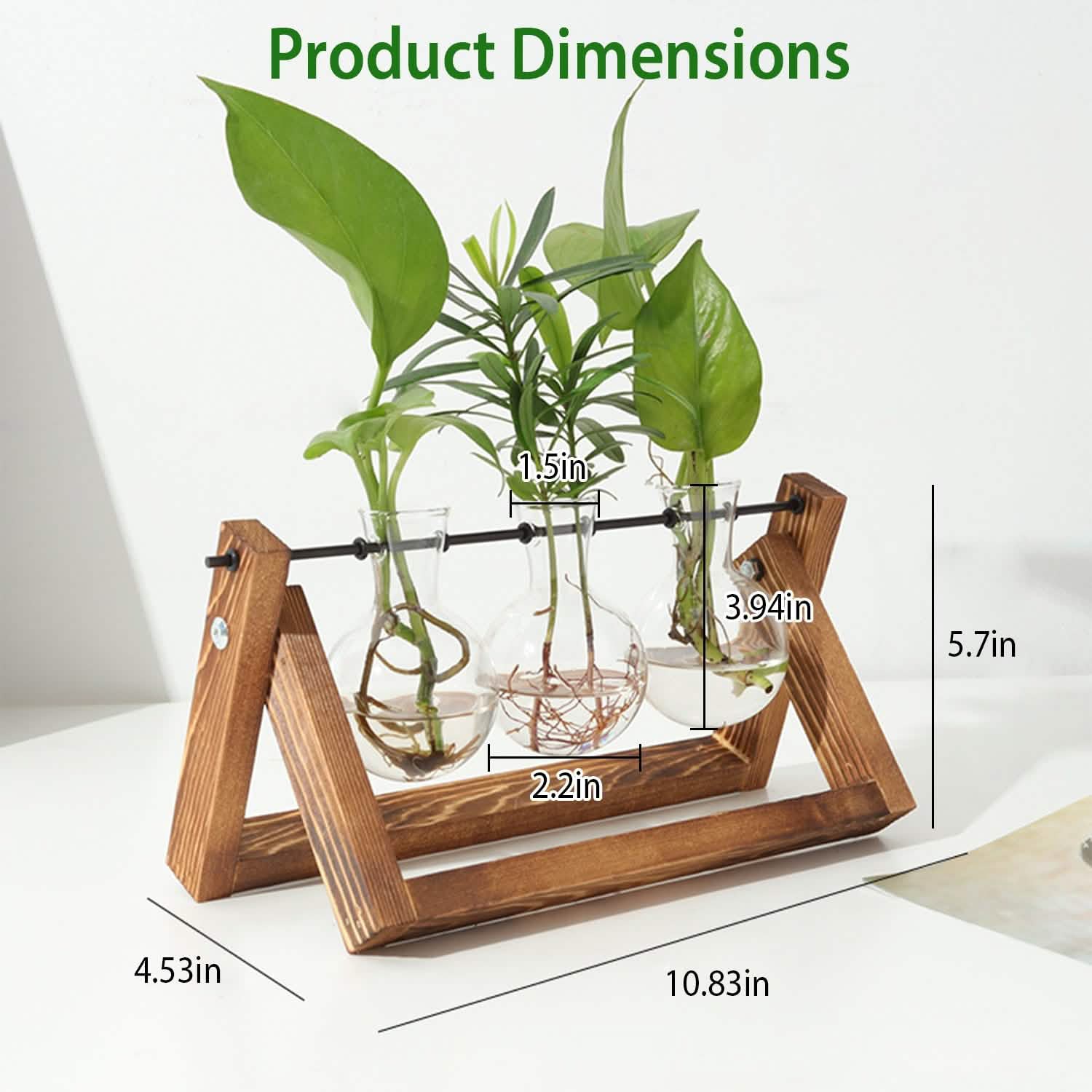 Desktop Glass Bulb Planter