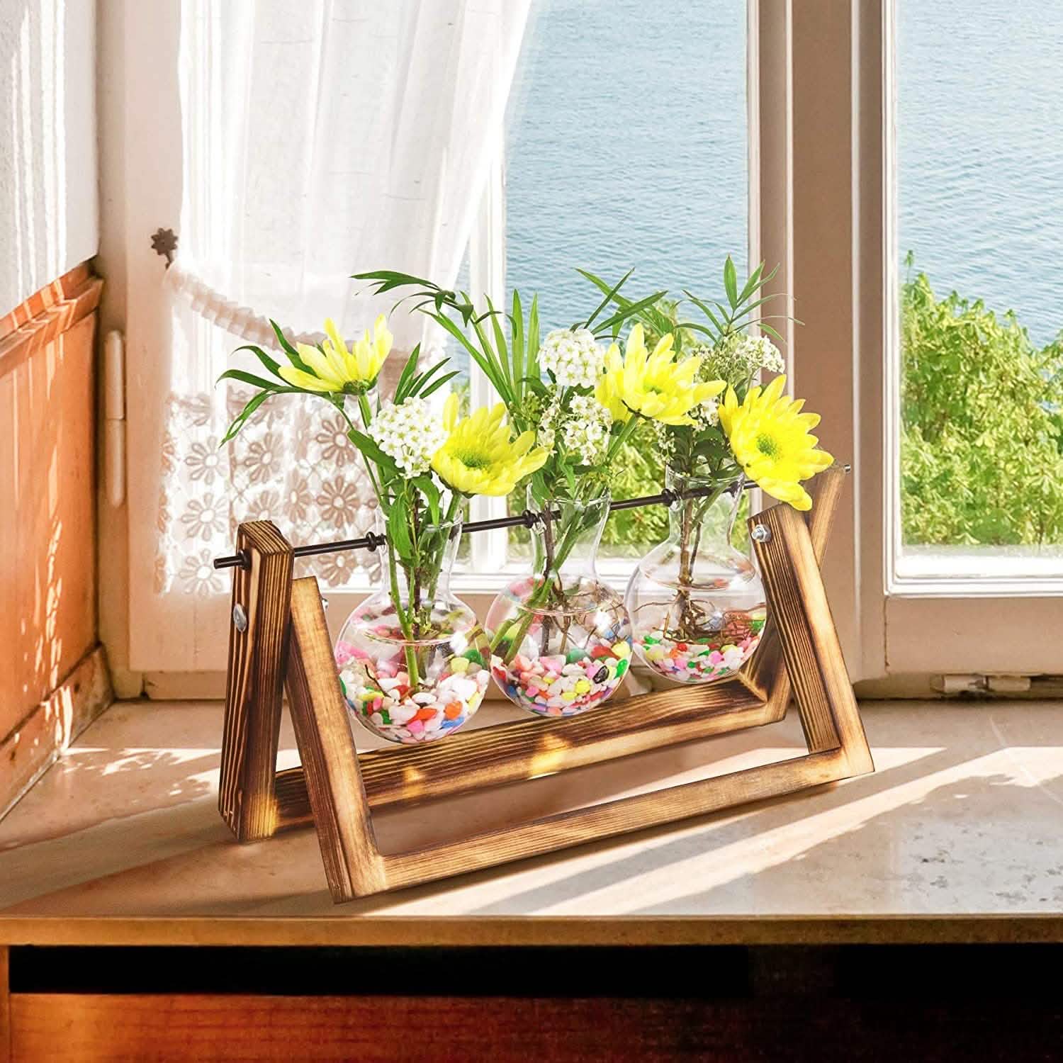 Desktop Glass Bulb Planter