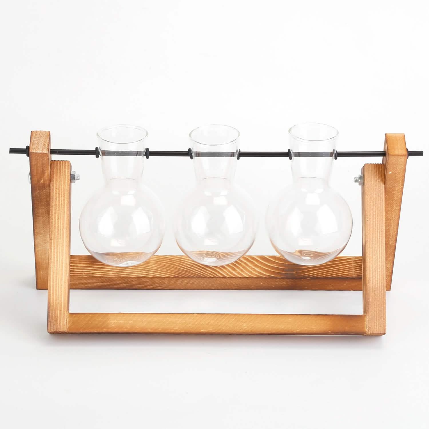 Desktop Glass Bulb Planter