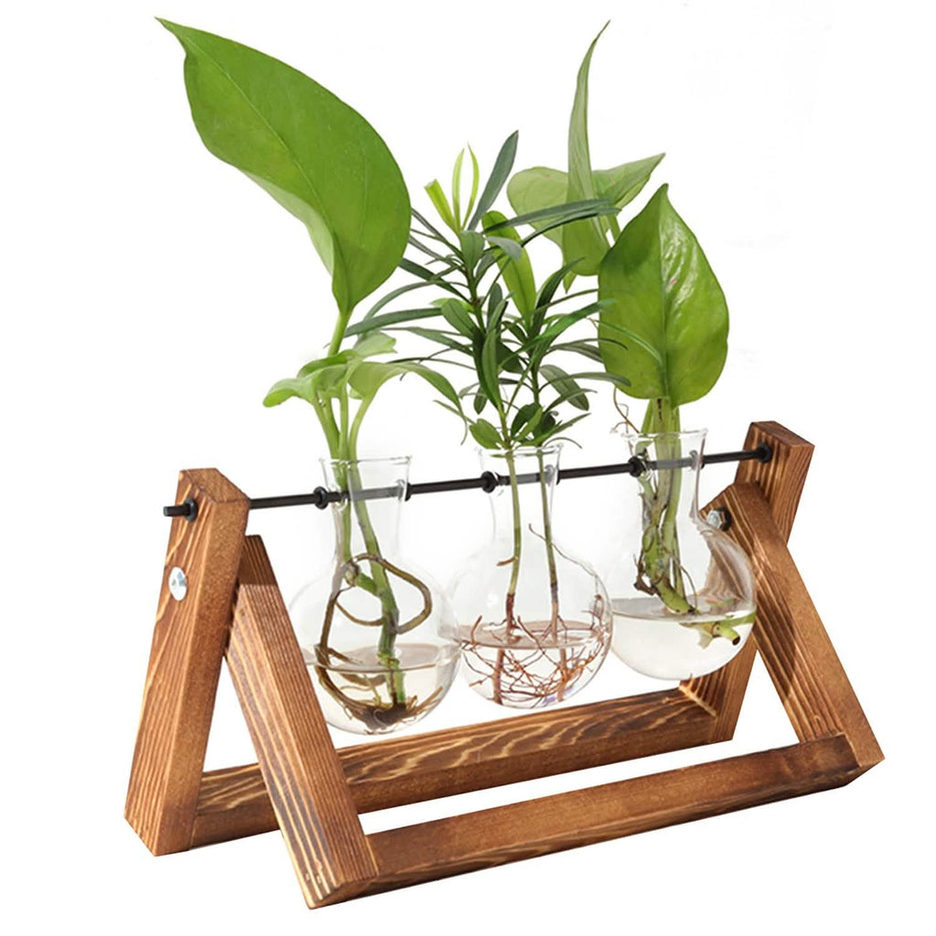 Desktop Glass Bulb Planter