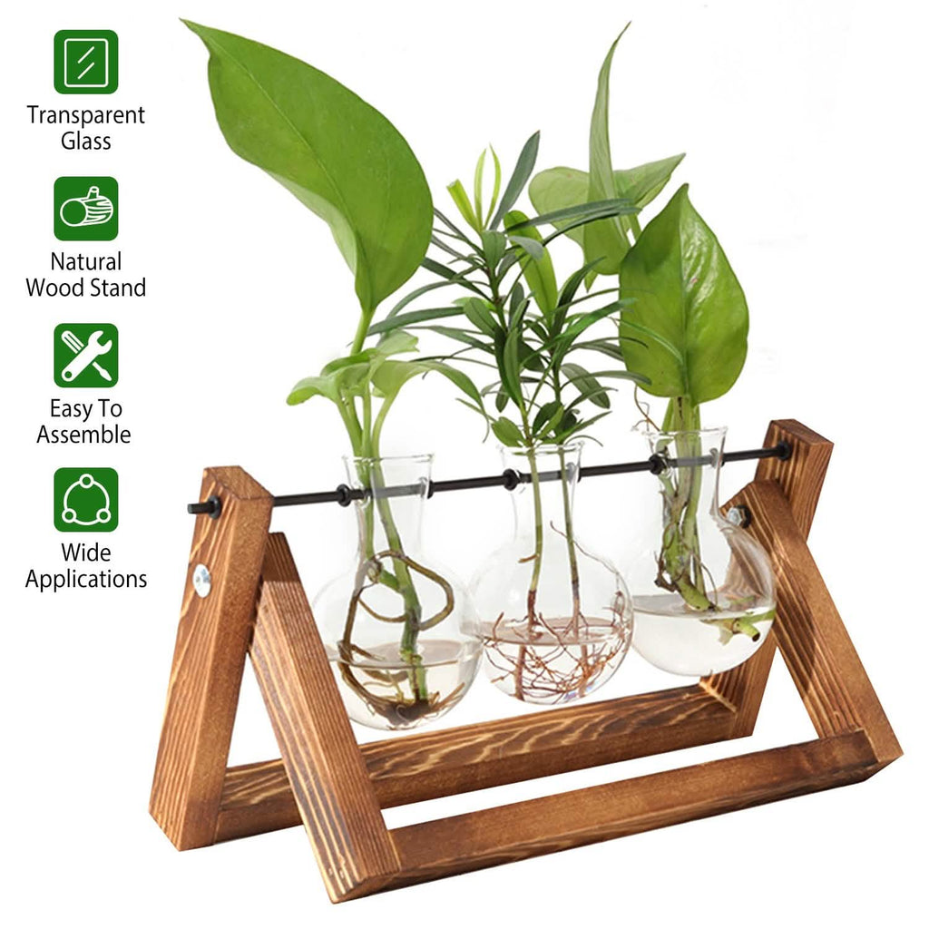 Desktop Glass Bulb Planter