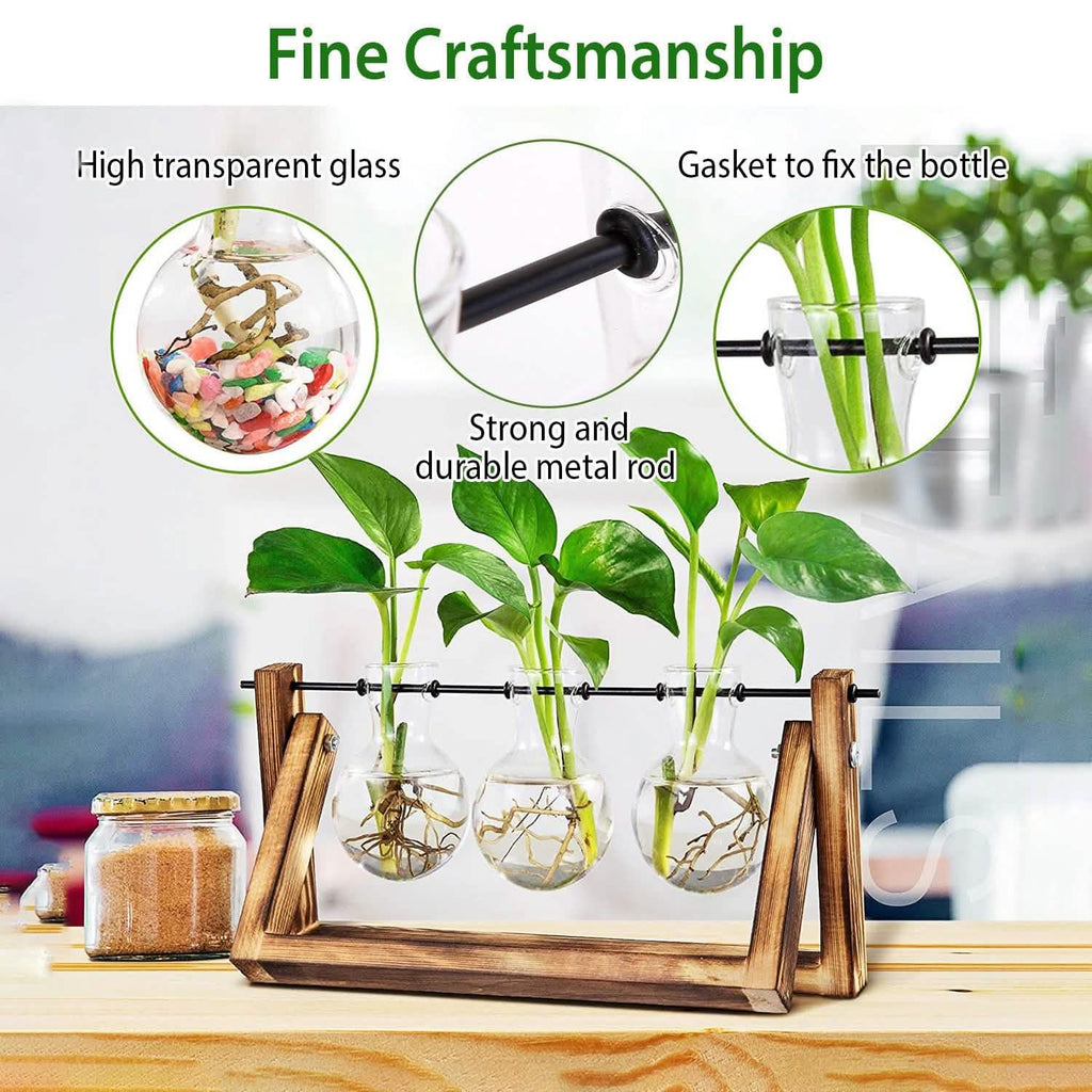 Desktop Glass Bulb Planter