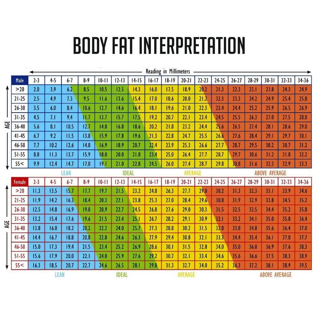 Digital Caliper Body Fat Anlyzer