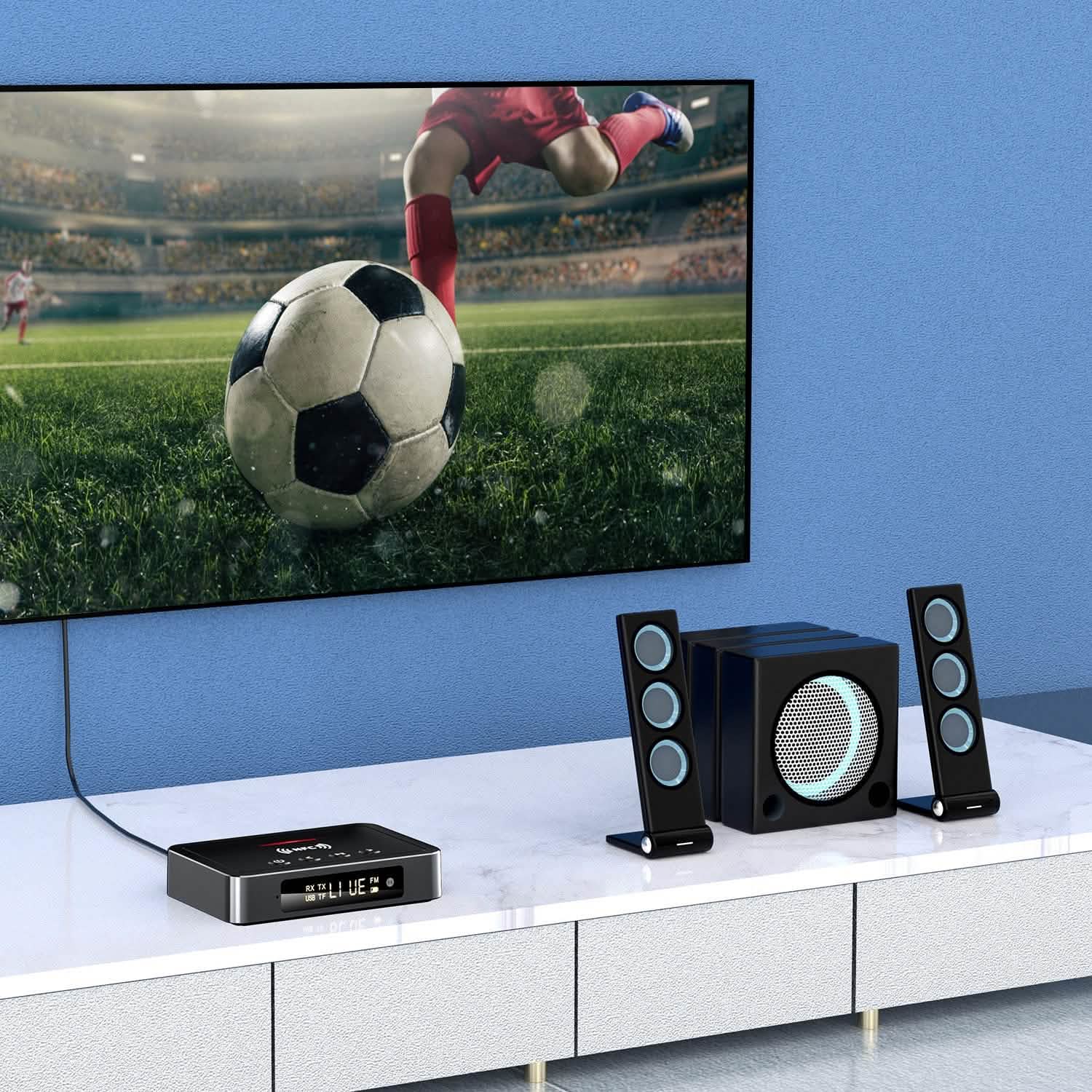 Digital Wireless Audio Adapter