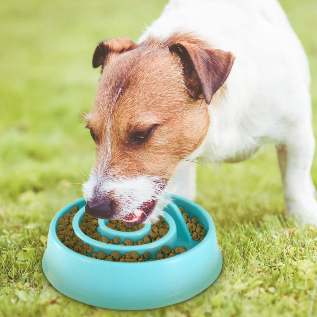 Dog Cat Slow Feeder Bowl