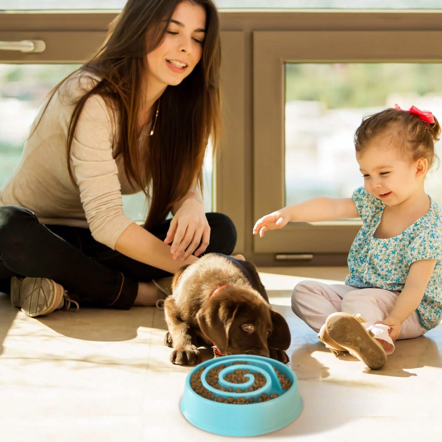Dog Cat Slow Feeder Bowl