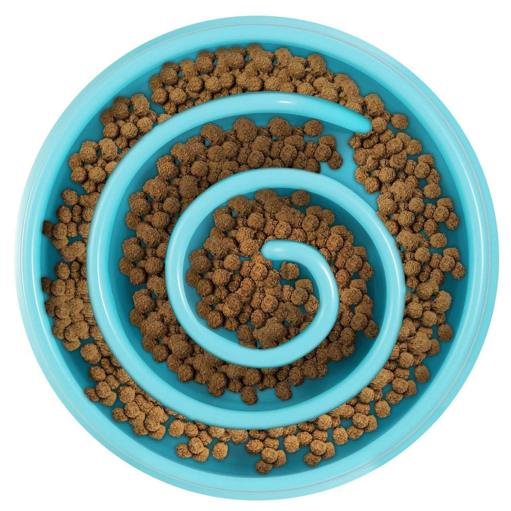 Dog Cat Slow Feeder Bowl