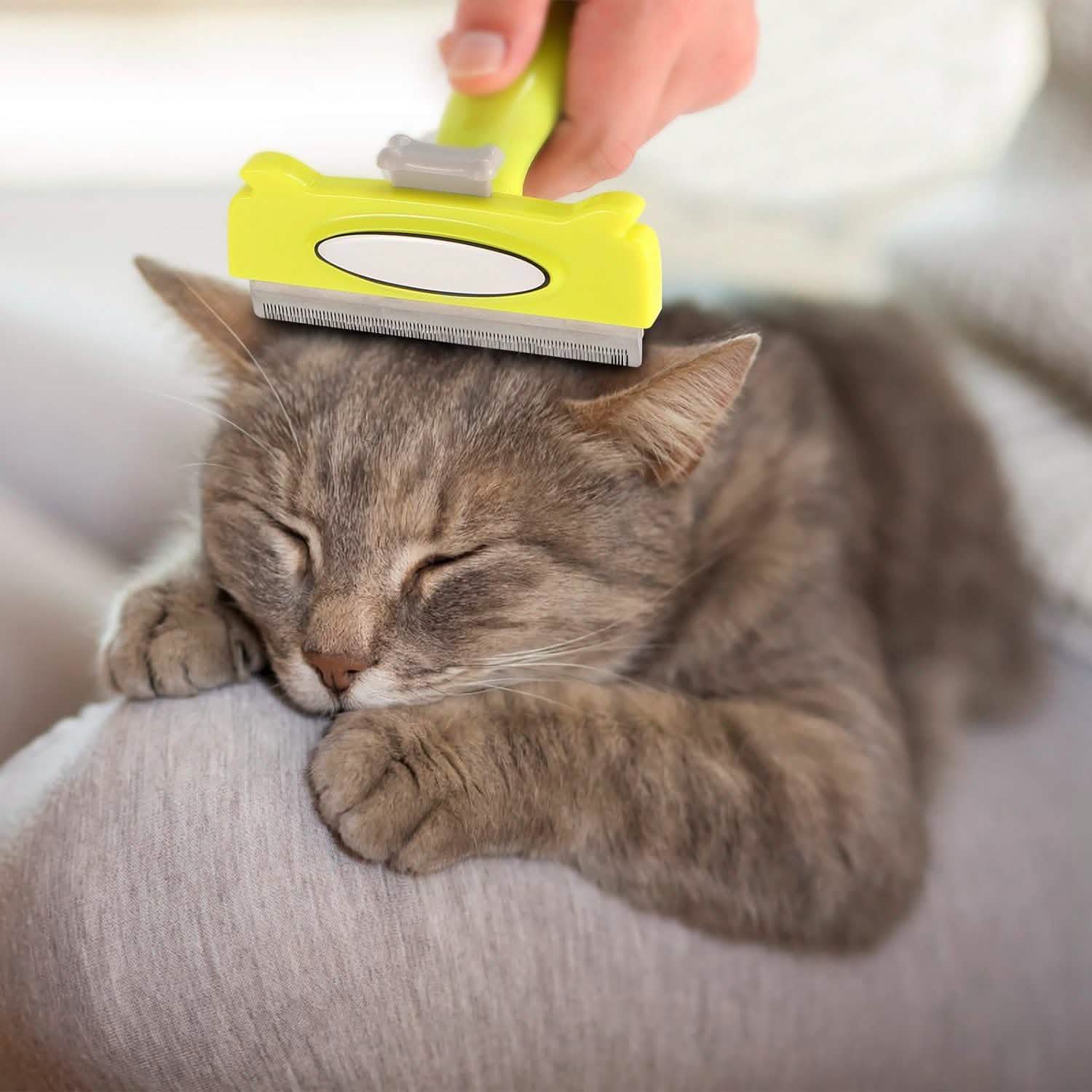 Dog Grooming Brush Comb Pet Hair Remover