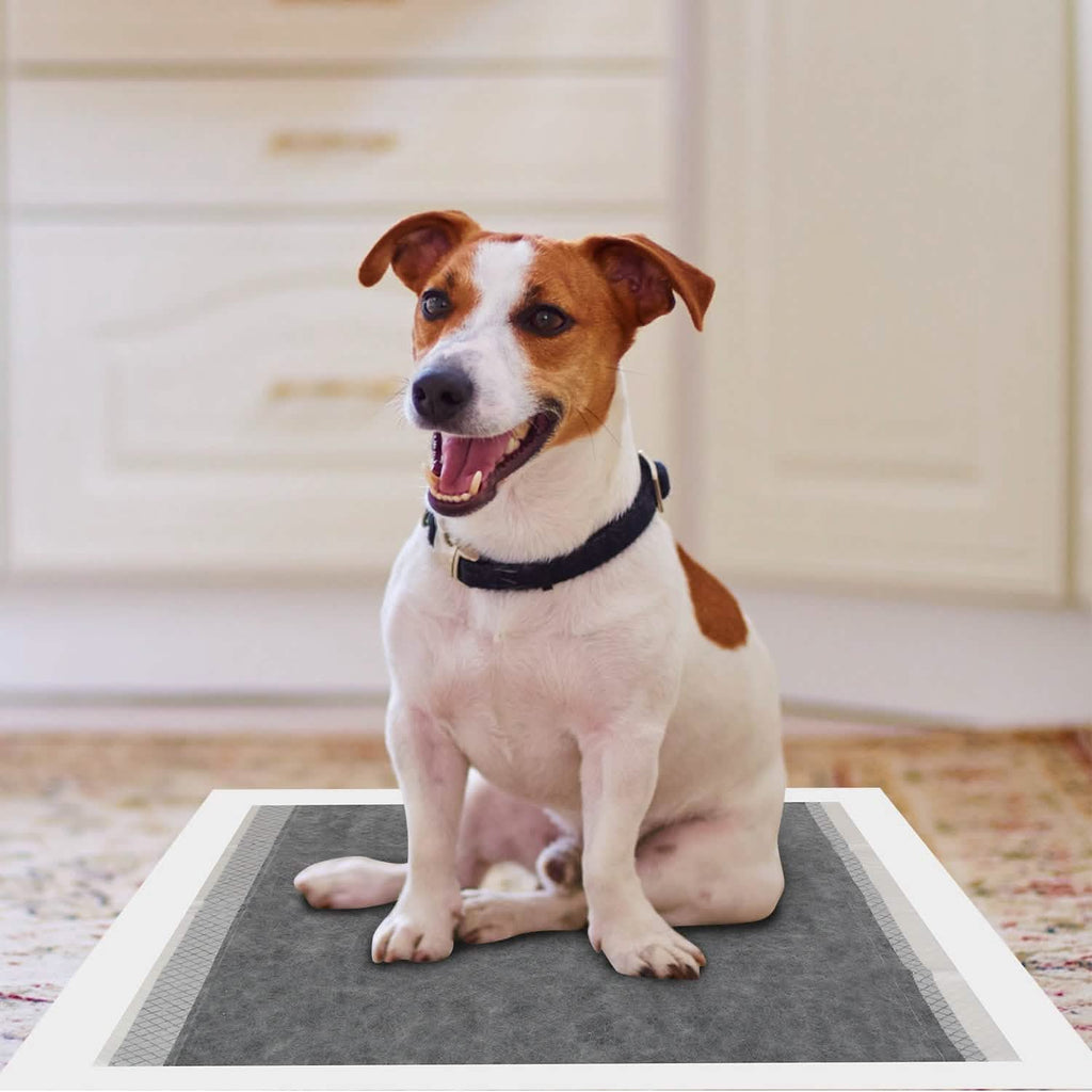Dog Pee Training Pads Super Absorbent