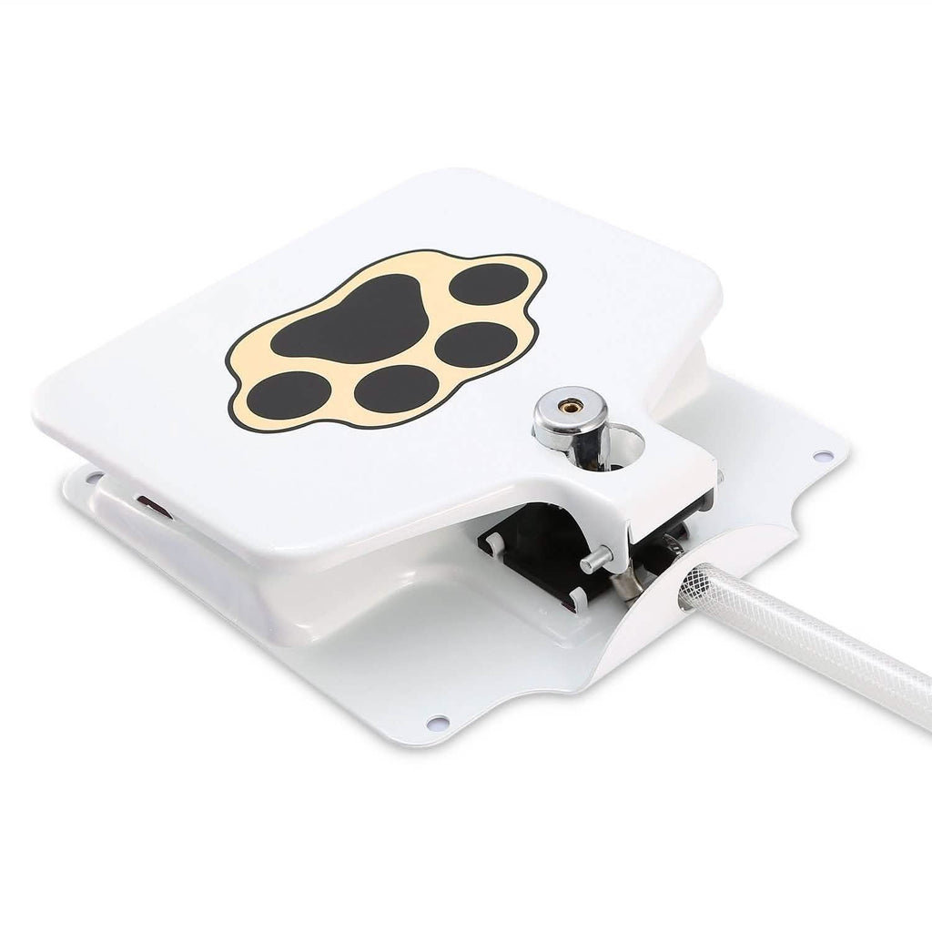Dog Water Fountain