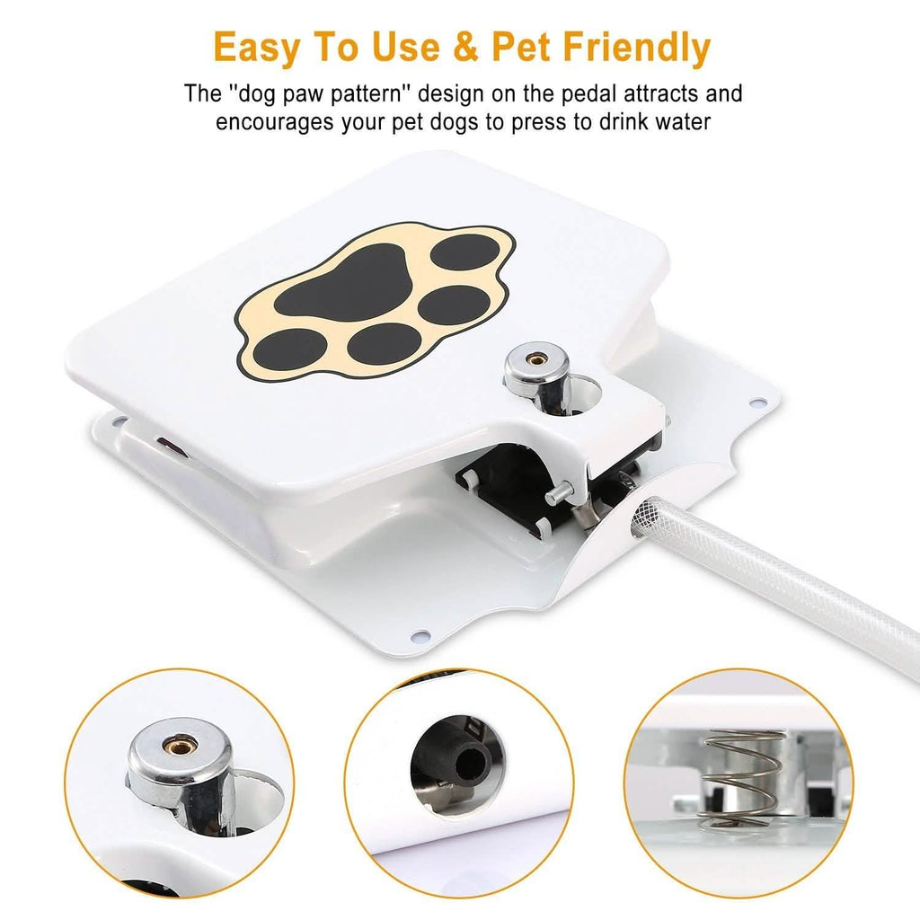Dog Water Fountain