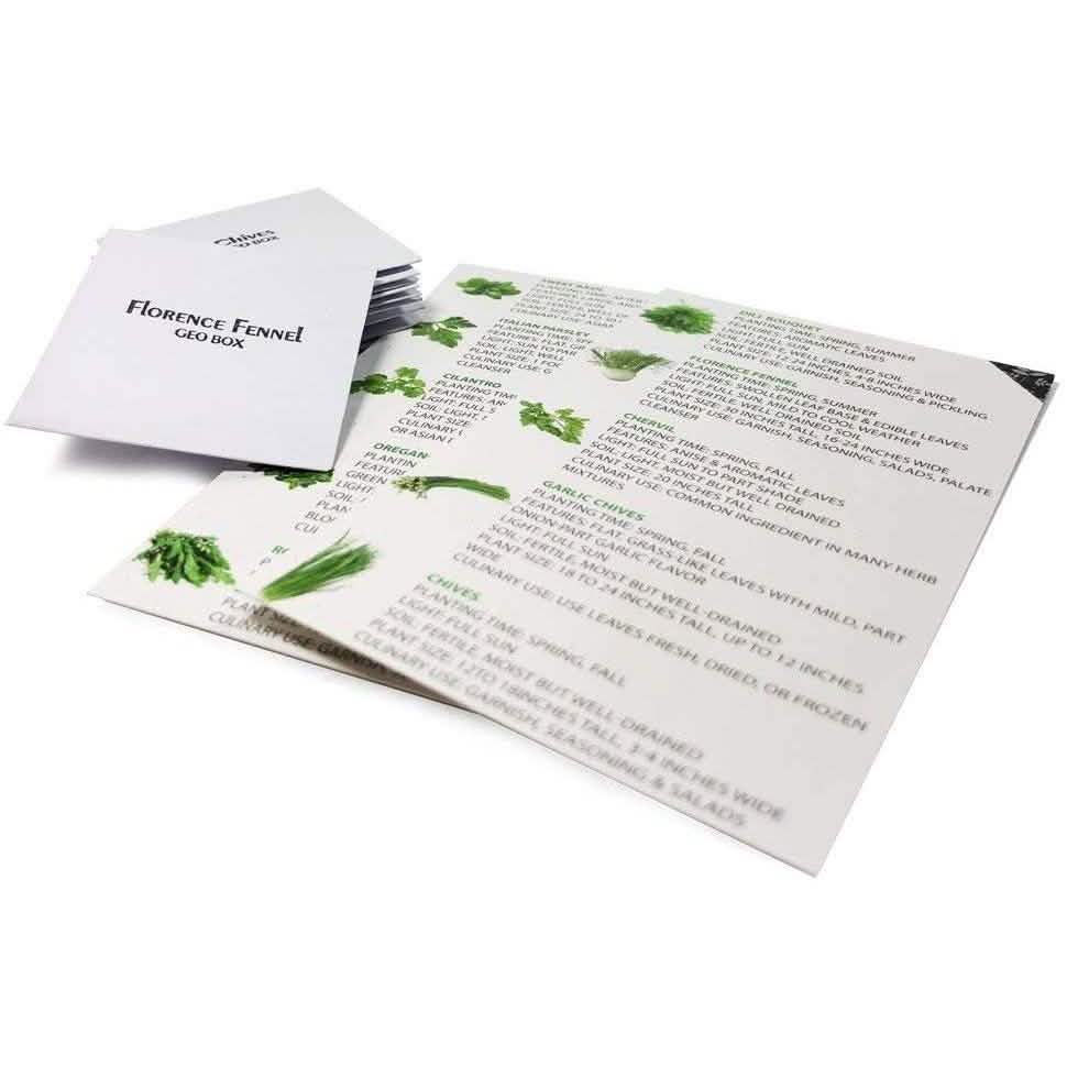 Easily Grow 10 Culinary Herb Garden Kit