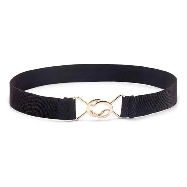 Elegant Wide Fabric Strap  Silver Metal Buckle Belts For Women Trendy Women's Fashion Stretchable Classic Color Belts