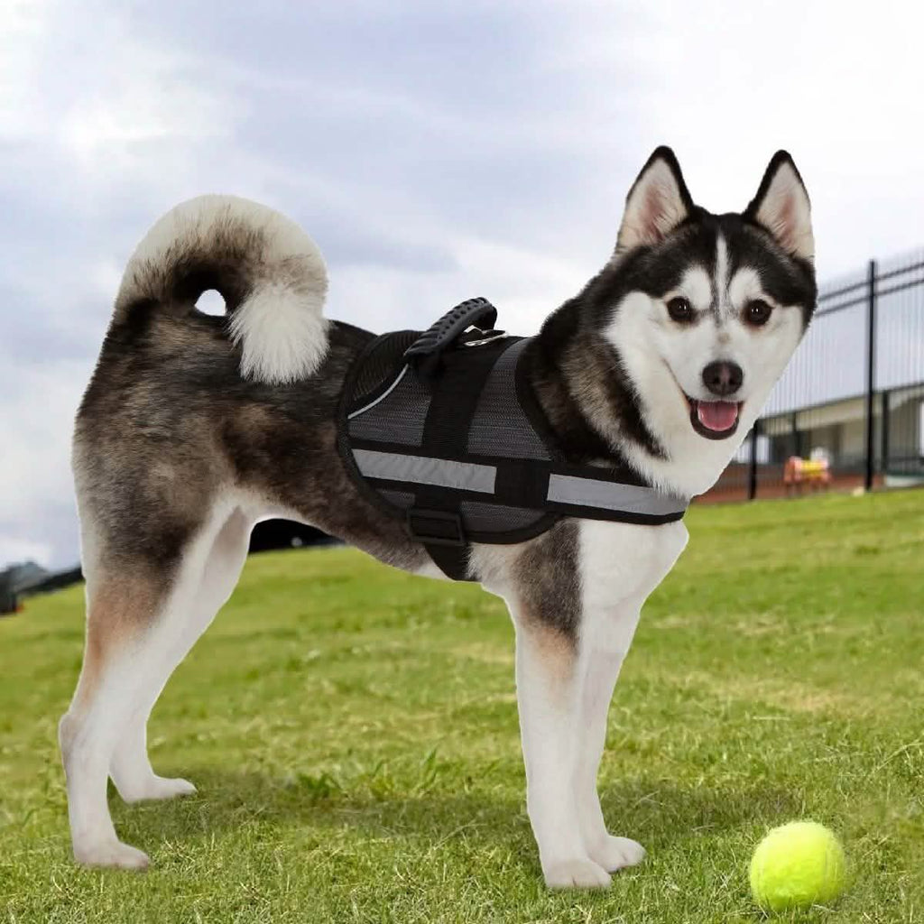 Ez-Pet Vest Collar Soft Adjustable Harness