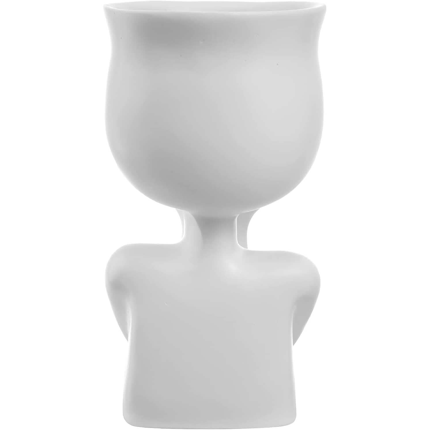 Face Flower Pot Head Planter