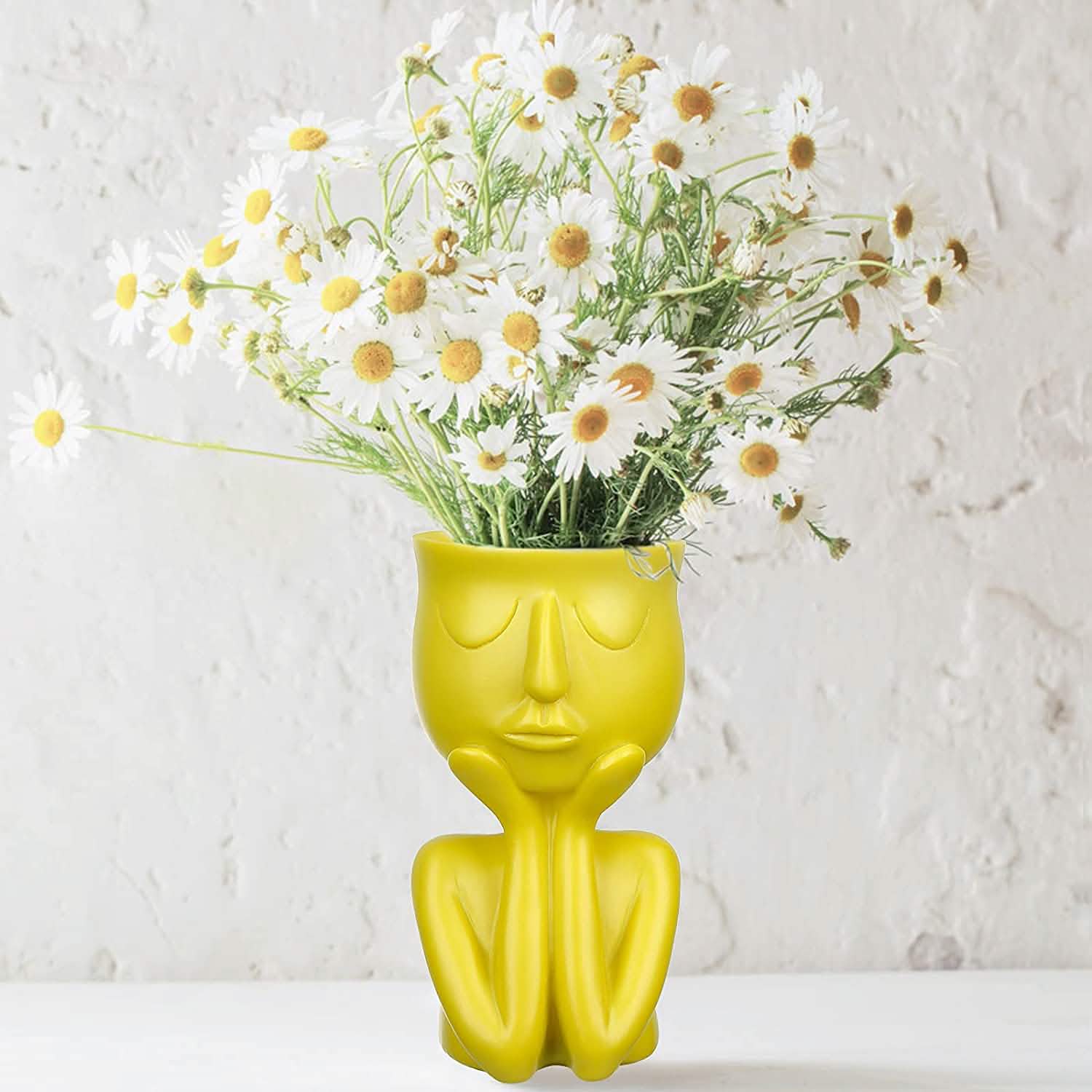 Face Flower Pot Head Planter