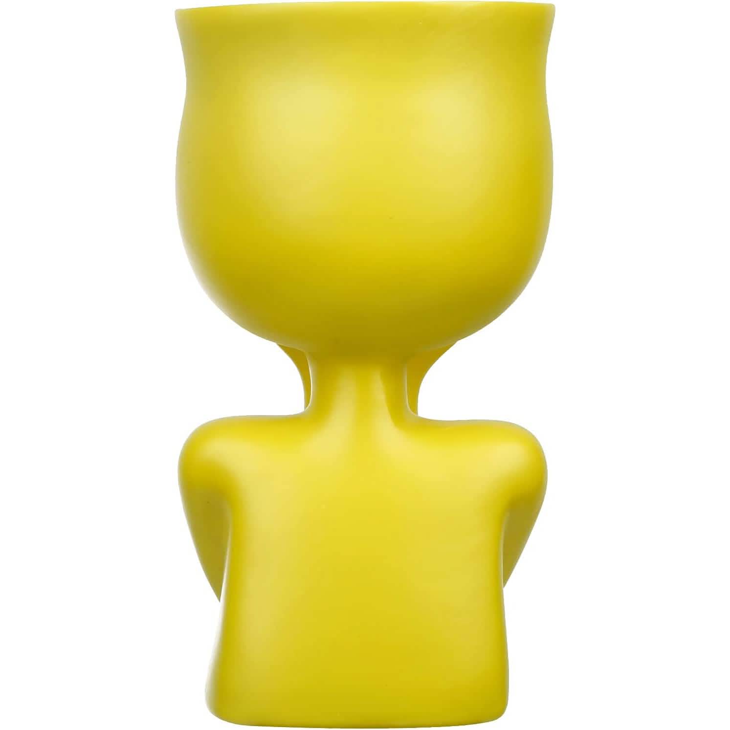 Face Flower Pot Head Planter