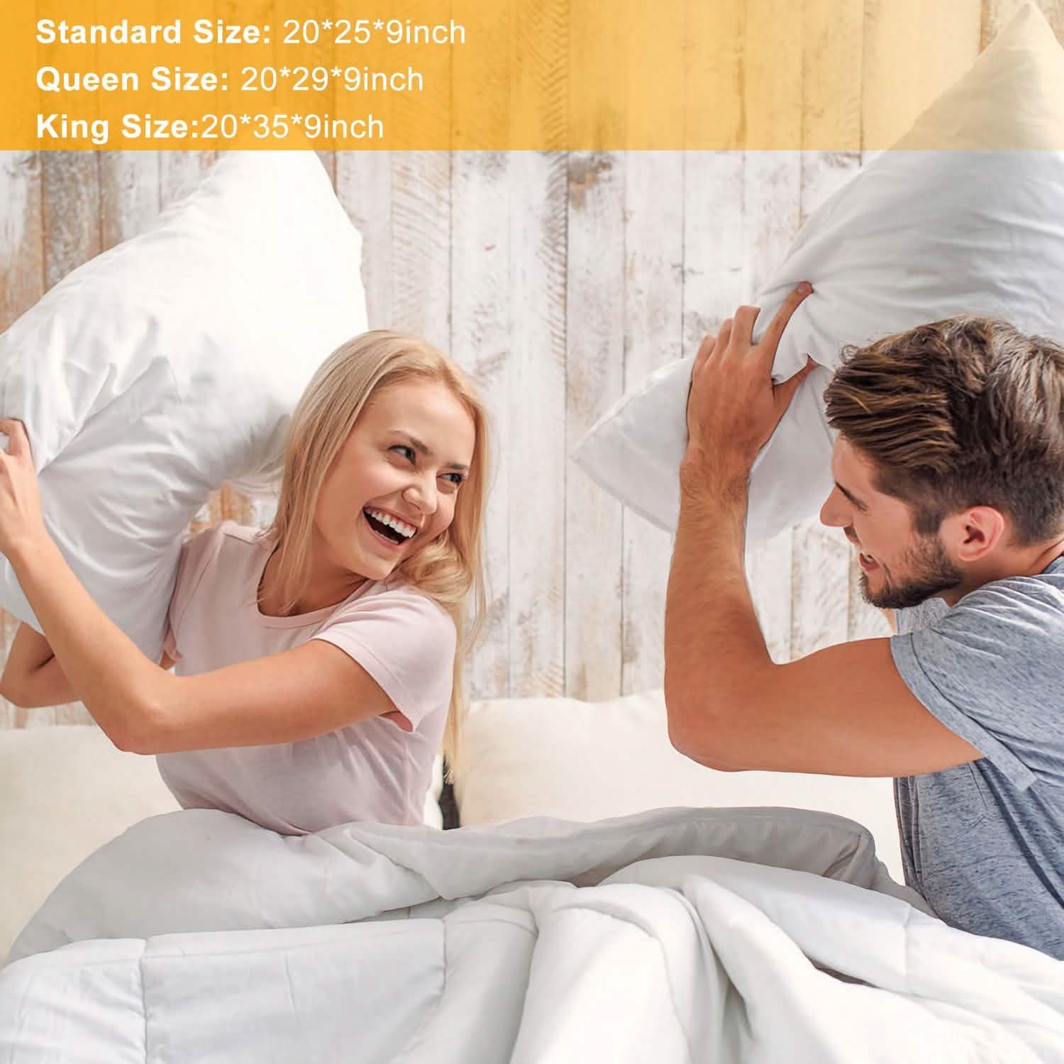 Fiber Filled Down Alternative Pillow