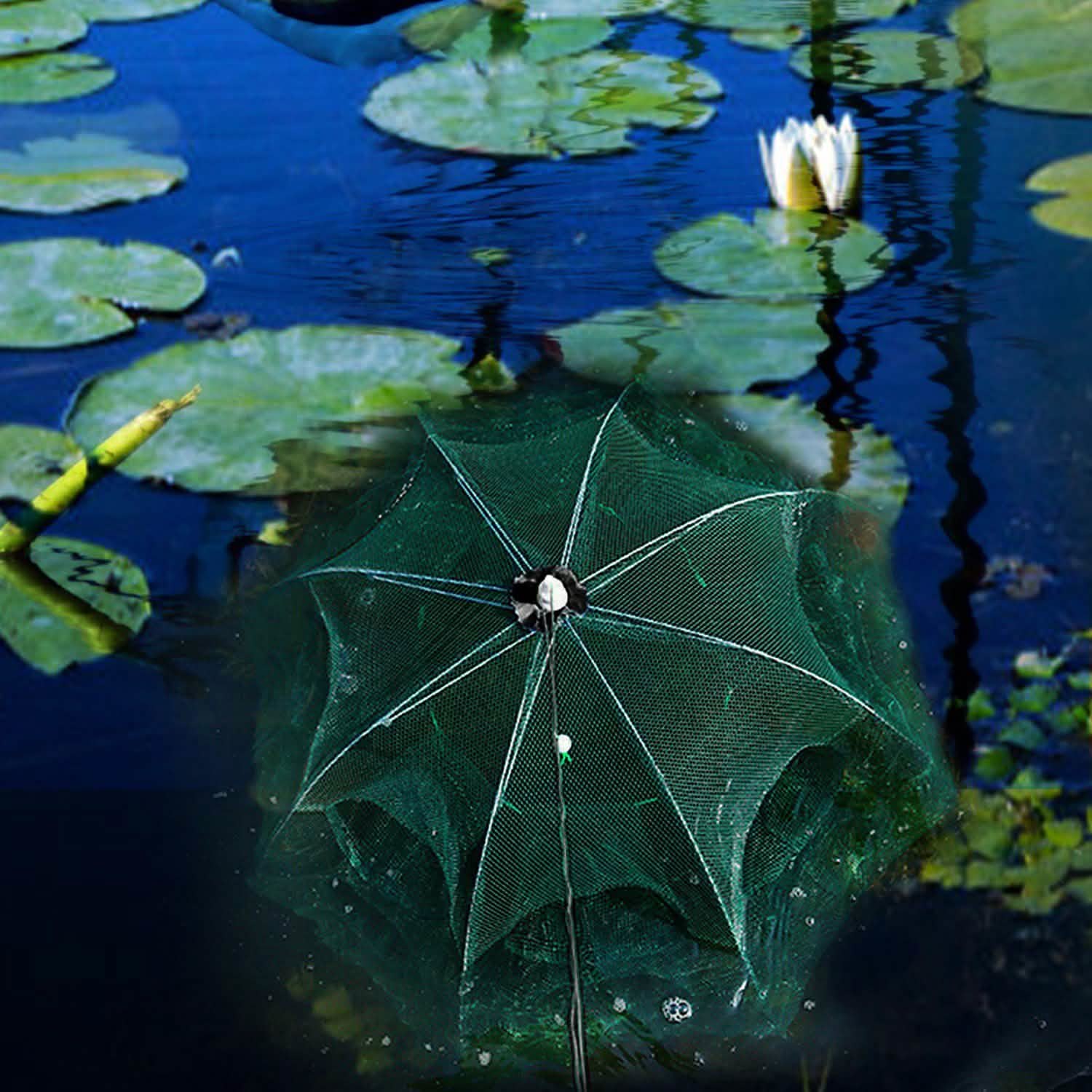 Fishing Trap Net Portable - Fishing Bait Trap