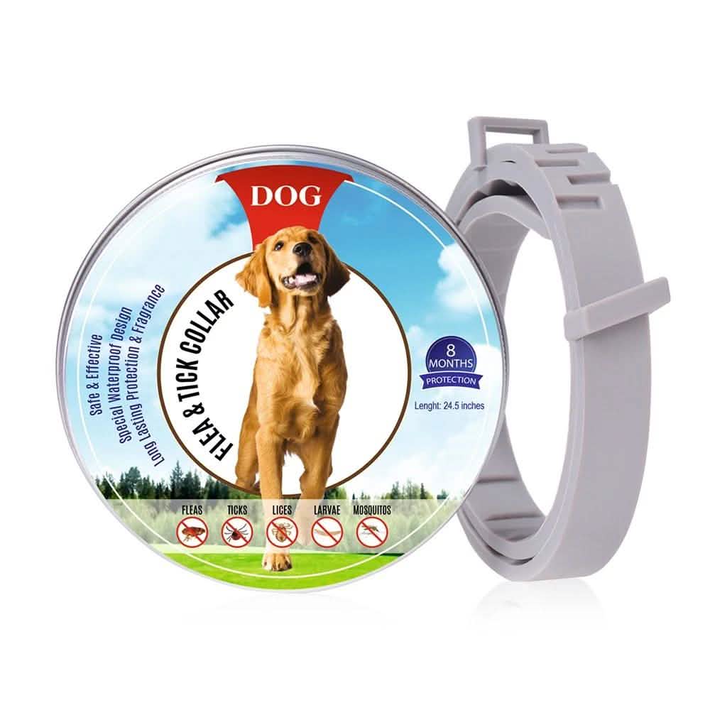 Flea Collar Dogs 8-month Flea and Tick Prevention for Dogs 3 Months of Age and Older