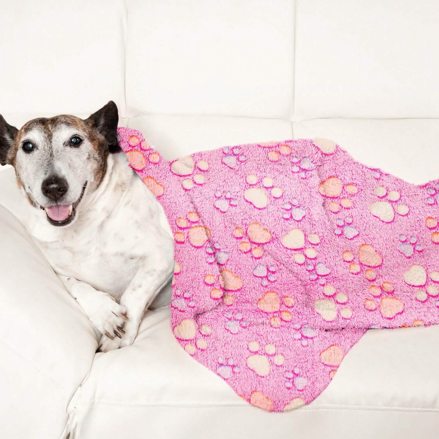 Fluffy Dog Cat Blanket