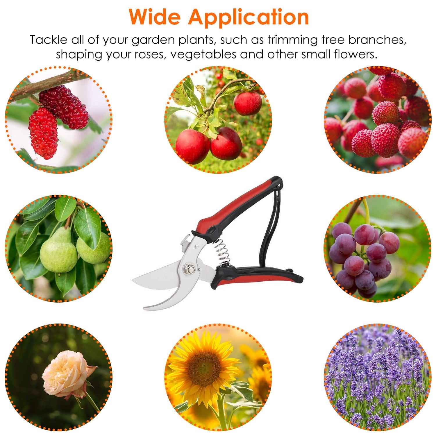 Garden Prune Shears