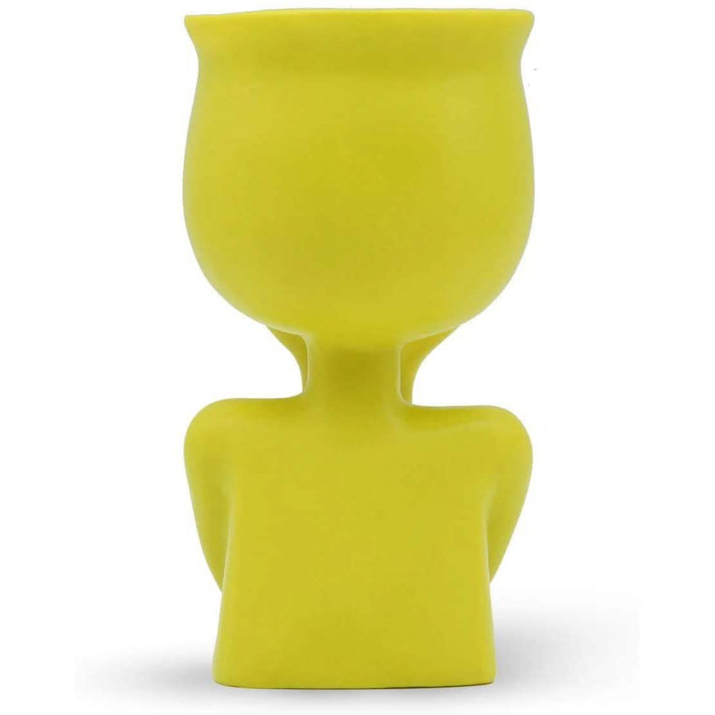 Greneric Character Portrait Flower Pot Resin Succulents Plant Pot