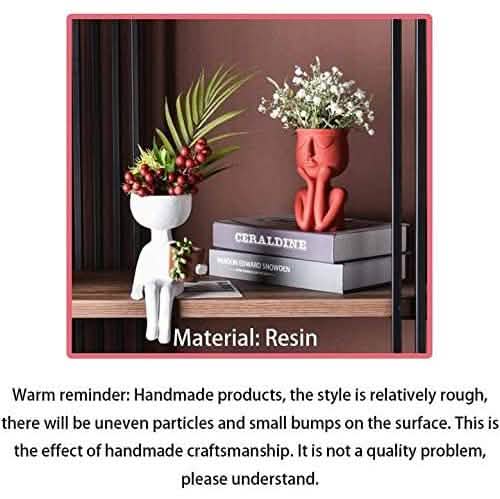 Greneric Character Portrait Flower Pot Resin Succulents Plant Pot