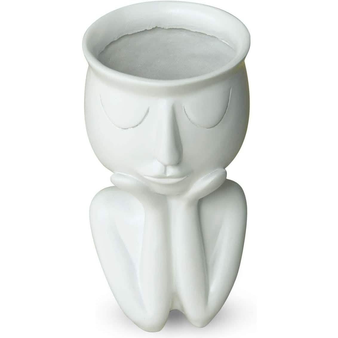 Greneric Character Portrait Flower Pot Resin Succulents Plant Pot
