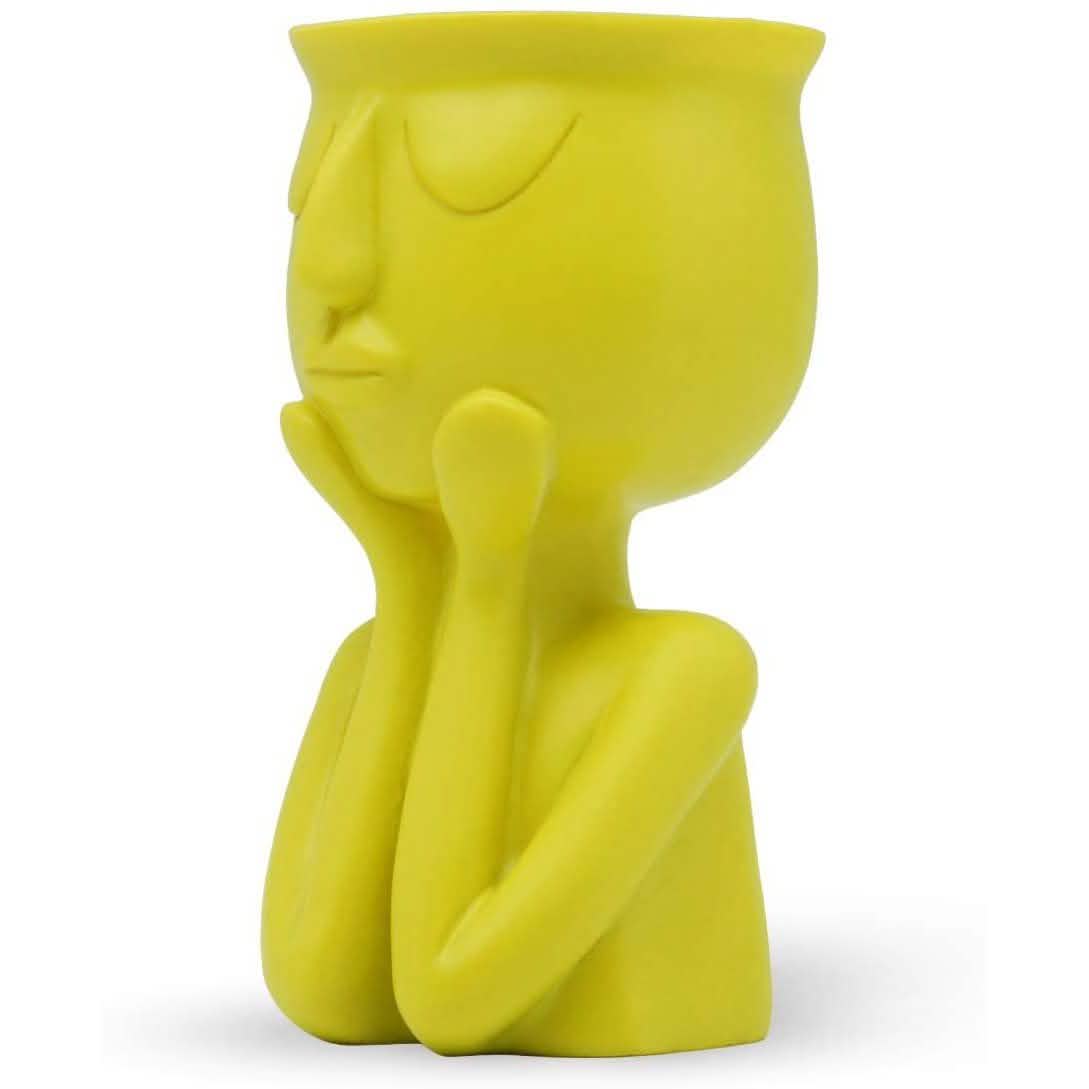 Greneric Character Portrait Flower Pot Resin Succulents Plant Pot