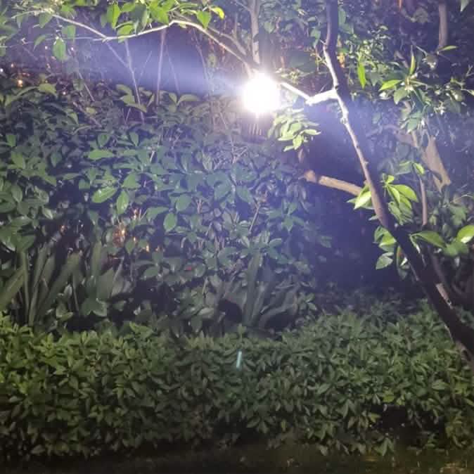 Hakol Outdoor Solar Powered LED Rechargeable Mosquito Zapper Lantern