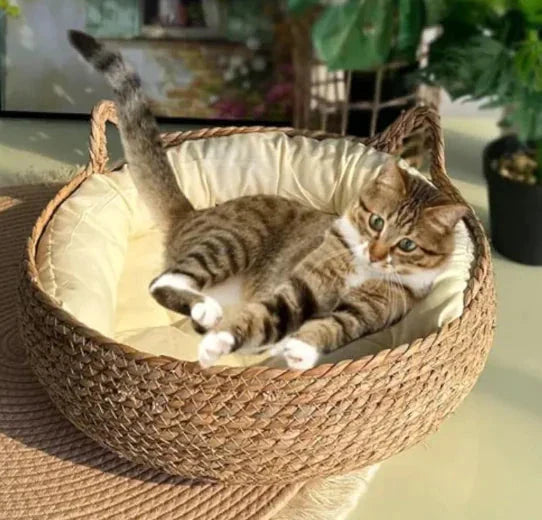Handmade Pet House