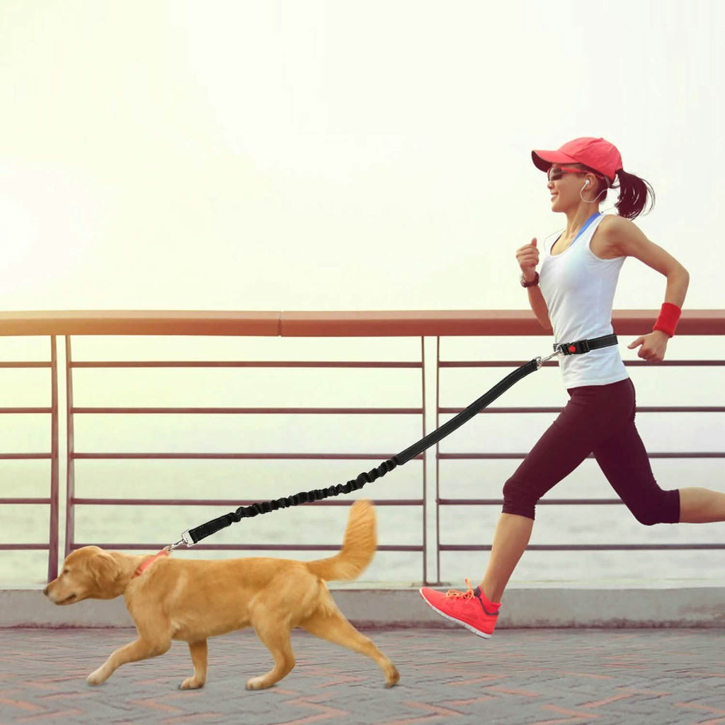 Hands Free Dogs Leash Waist Belt