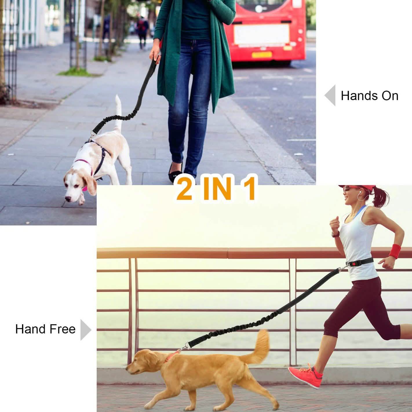 Hands Free Dogs Leash Waist Belt