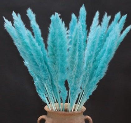 Home Store Wedding Bulrush Natural Dried Flowers Small Pampas Grass Phragmites Communis Decoration for Floor Vase Filler for Living Room Kitchen Decor
