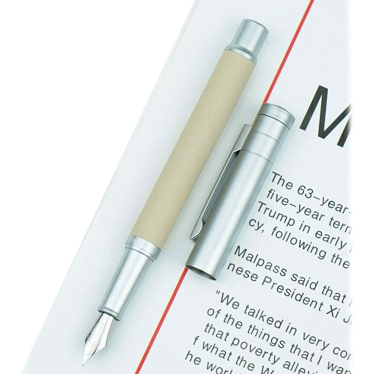Hongdian Silver Birch Forest Fountain Pen