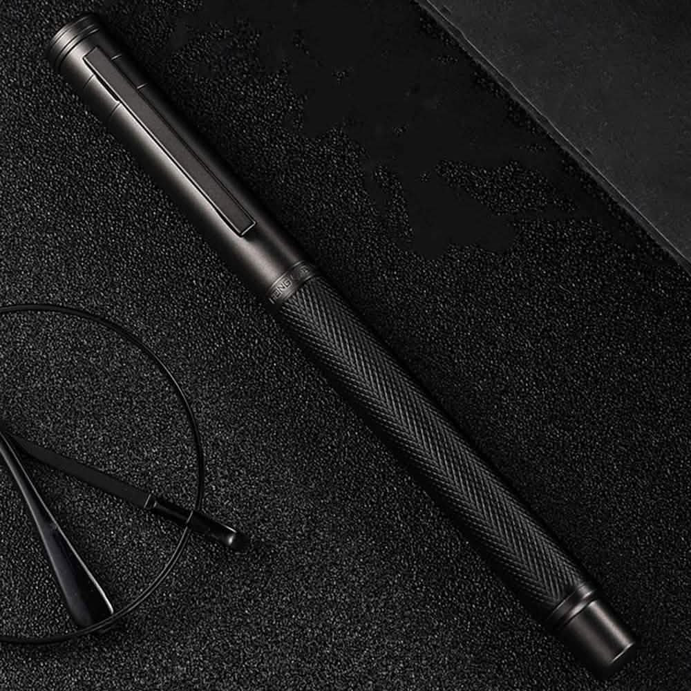 Hongdian Silver Birch Forest Fountain Pen