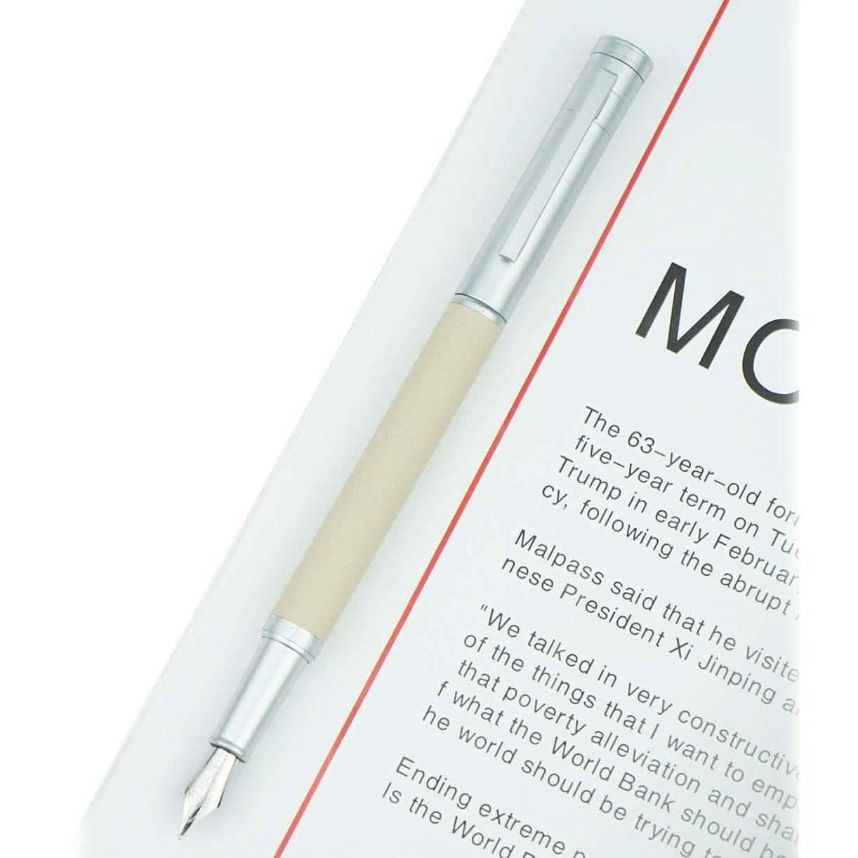 Hongdian Silver Birch Forest Fountain Pen