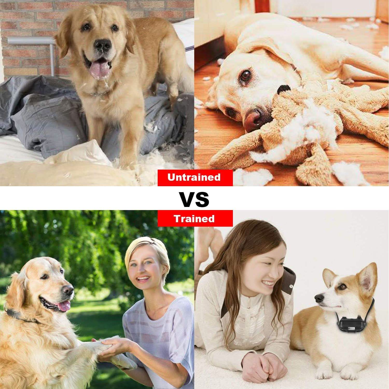 iMountek Dog Training Collar IP