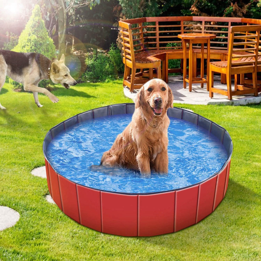 iMounTEK Foldable Pet Swimming Pool