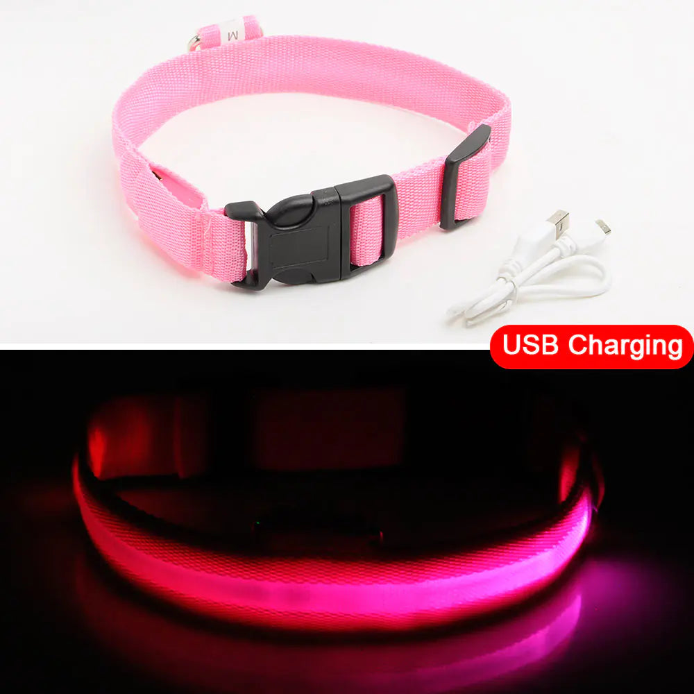 LED Dog Collar - Anti-Lost Rechargeable Safety Light-Up Collar for Night Walks