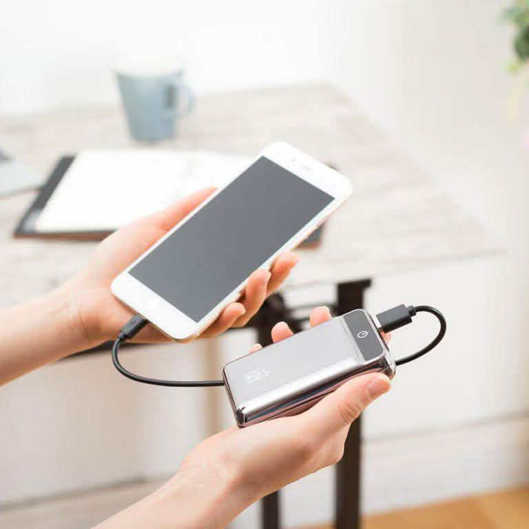 LAX Pocket Sized Dual USB 12,000mAh External Battery Backup Charger