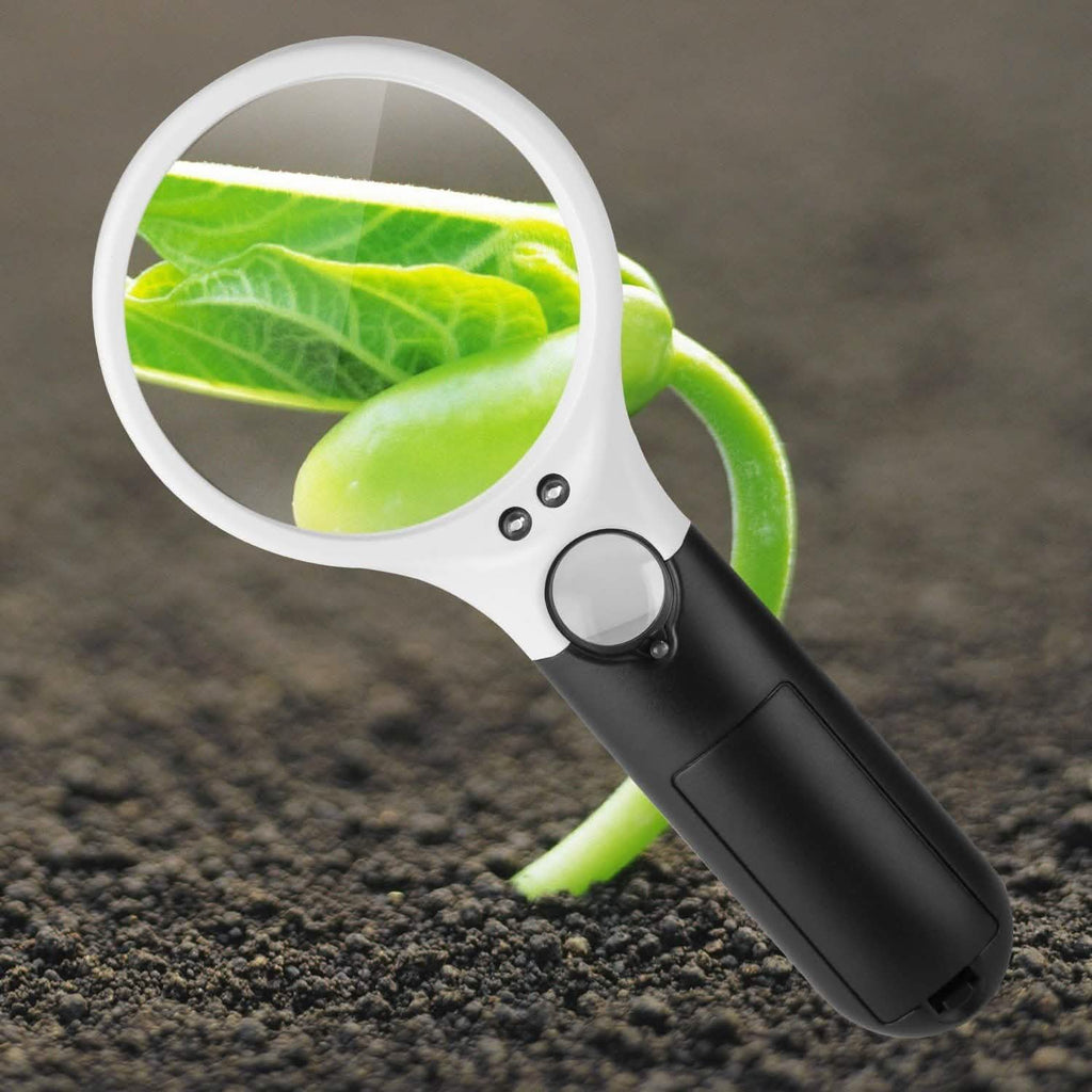 LED Illuminated Magnifying Glass