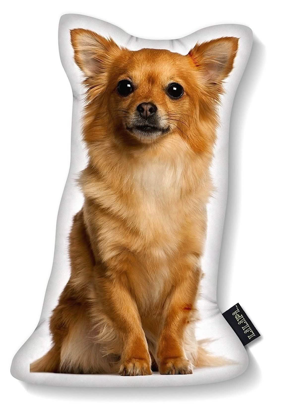 LiLiPi Dog-Shaped Accent Pillow - Assorted Styles