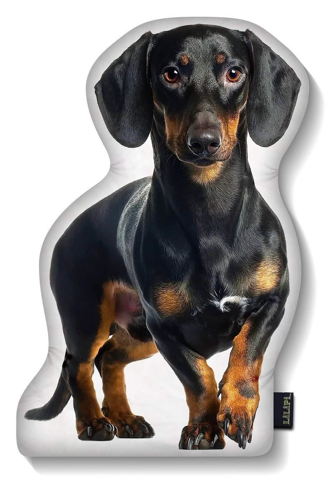 LiLiPi Dog-Shaped Accent Pillow - Assorted Styles