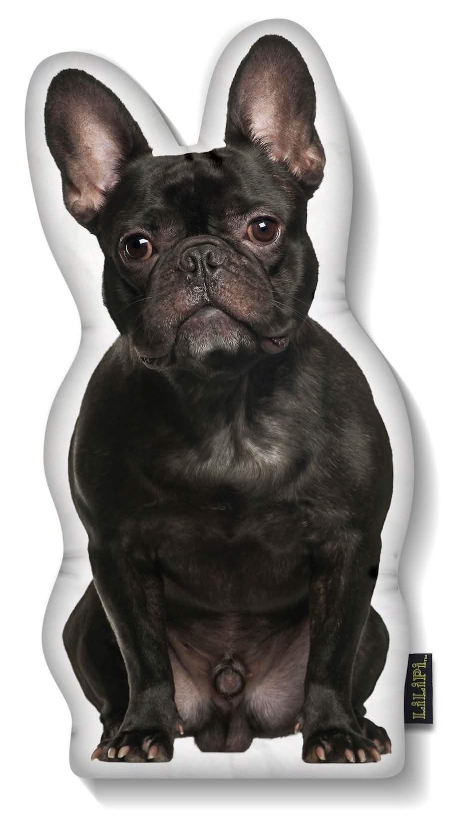 LiLiPi Dog-Shaped Accent Pillow - Assorted Styles