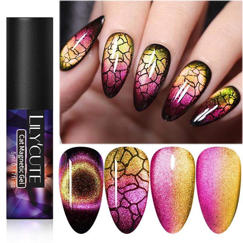 Magnetic Nail Gel Polish UV LED Popular Colorful New Fashion Charming Effect Luxury Drawing Design For Women and Girls