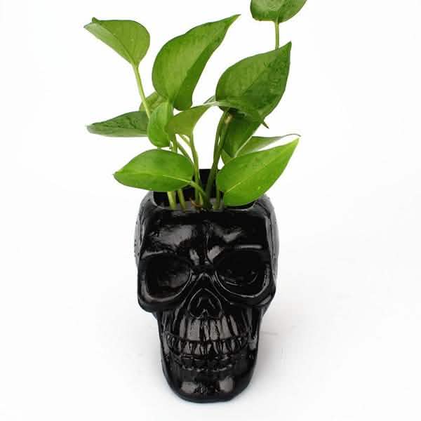Multifunction Creative Skull Storage Stationery Holder