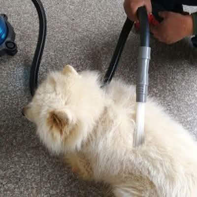 Multifunction Dust Vacuum Cleaner