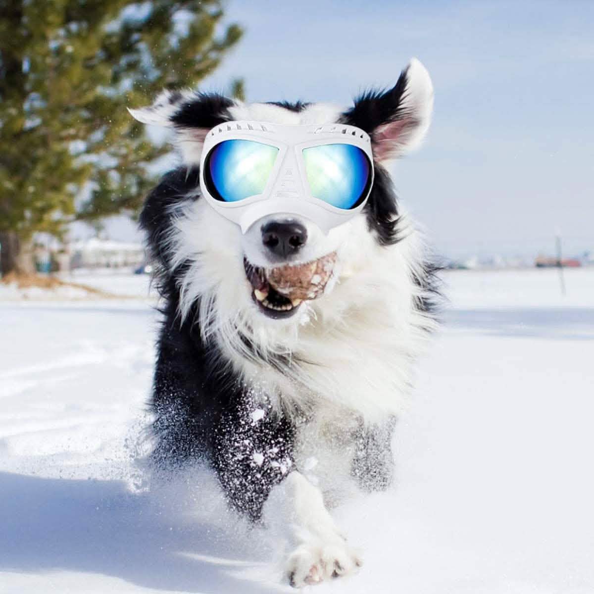 Namsan Dog Goggles-Sunglasses for Large Dogs